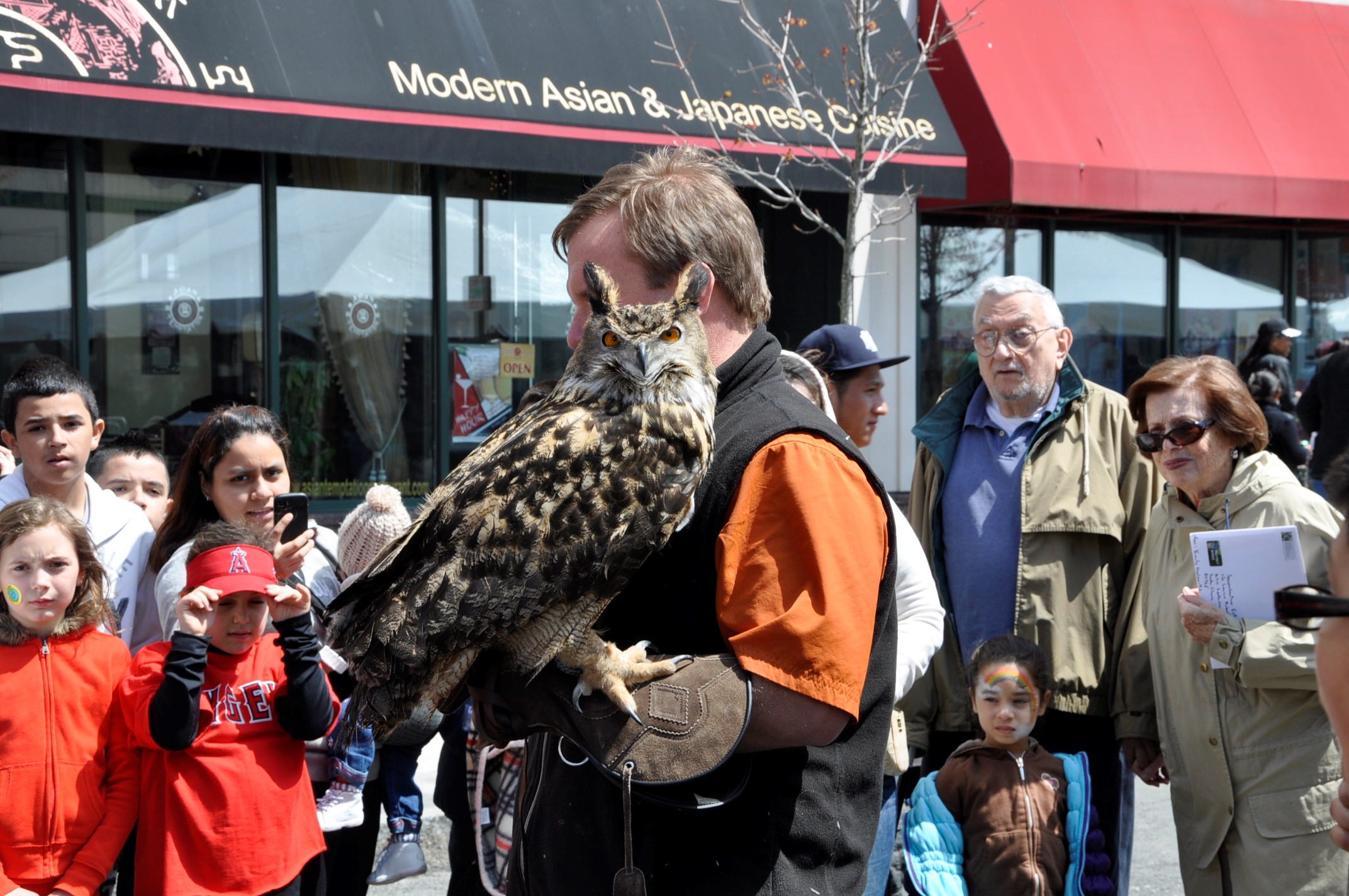 sustain white plains owl s4s 230